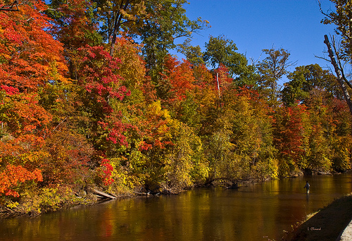 Summer drought spells causes Fall Colors to be less vibrant.